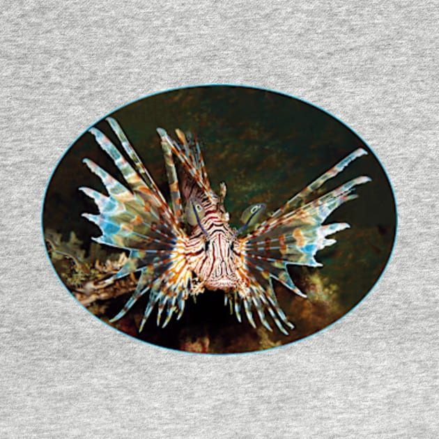 Lionfish | Fish hovering in the wide sea | by Ute-Niemann